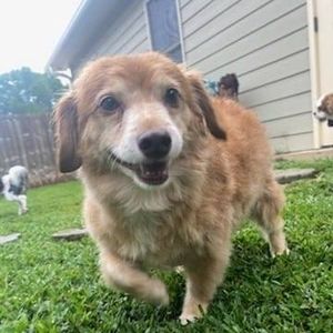 Meet your Posher, Debbie